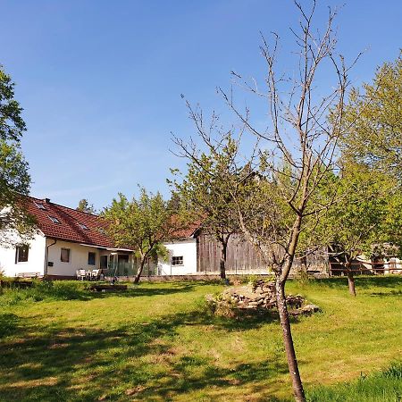 Die Alm In Schoellbuechl, Privatzimmer Sankt Martin  Exteriér fotografie